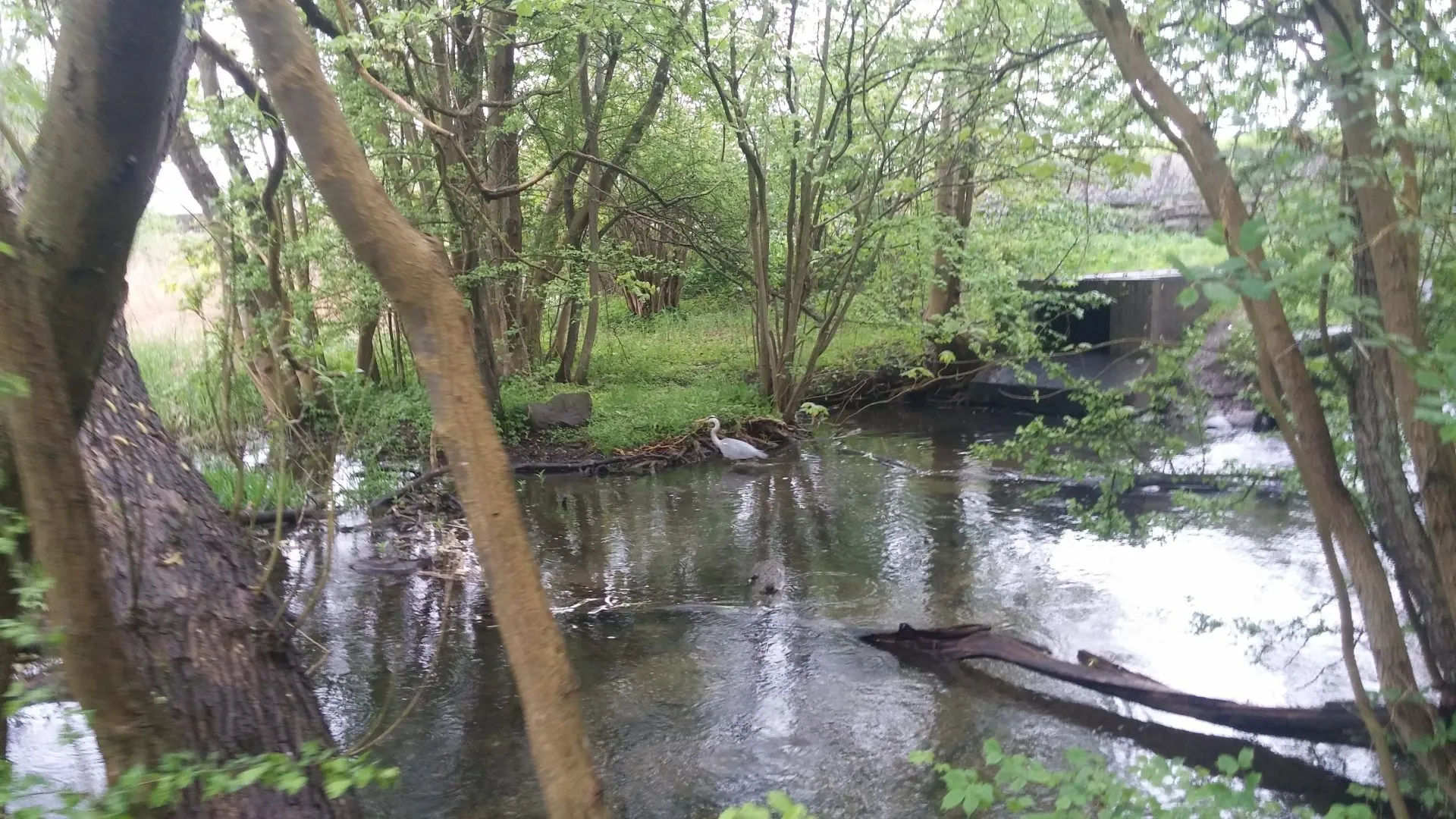 Sorø maj 2017