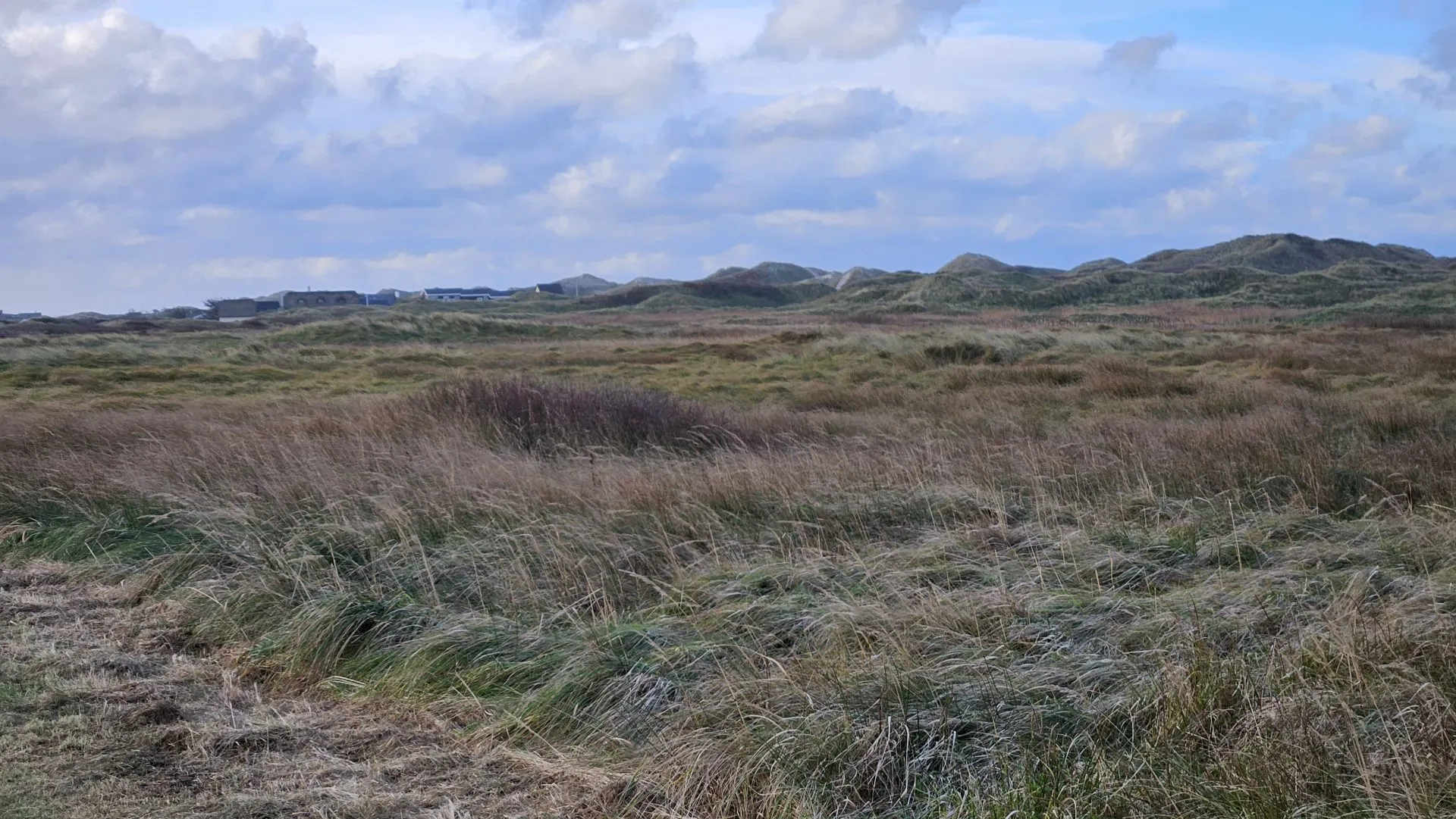 Vandretur i Blokhus Klitplantage