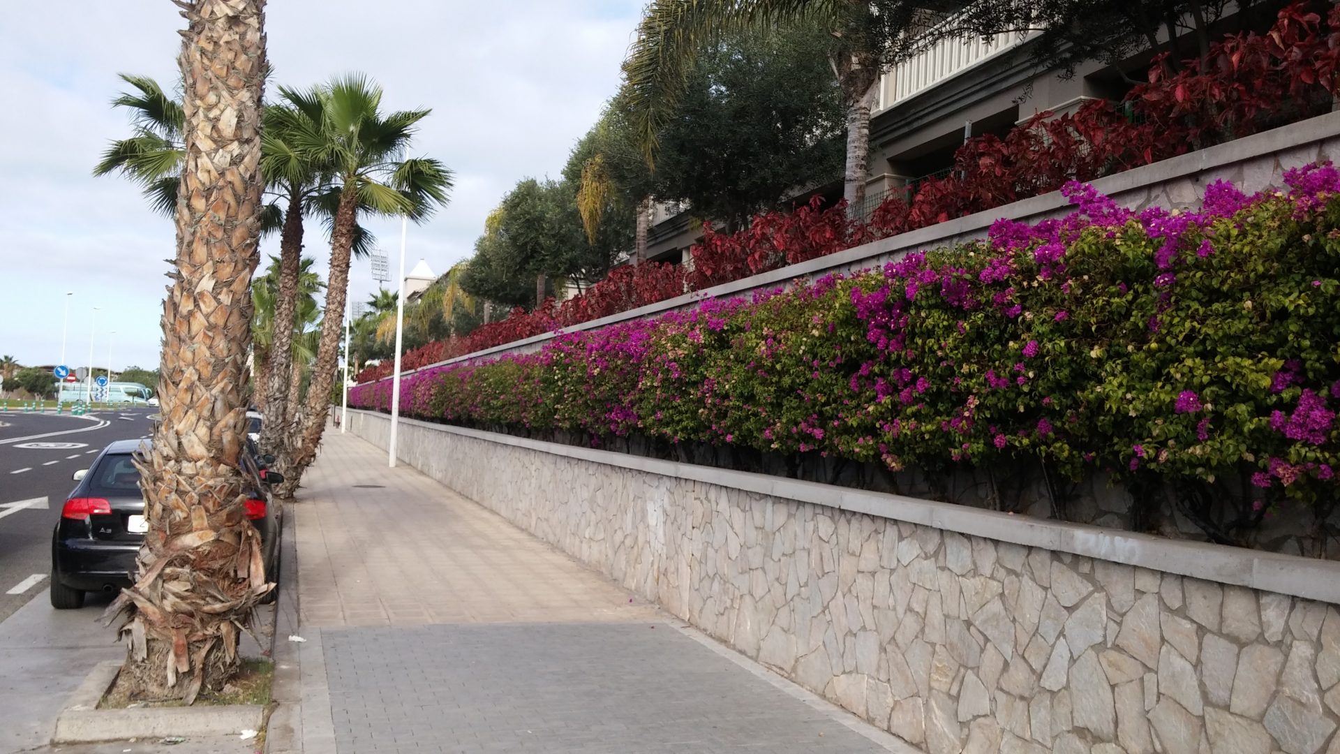 Tenerife februar 2015