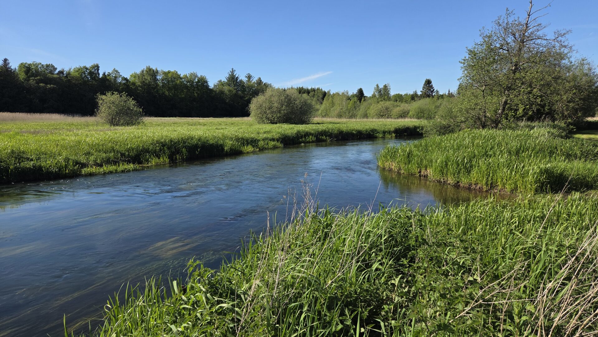 Gudenåen camping maj 2026