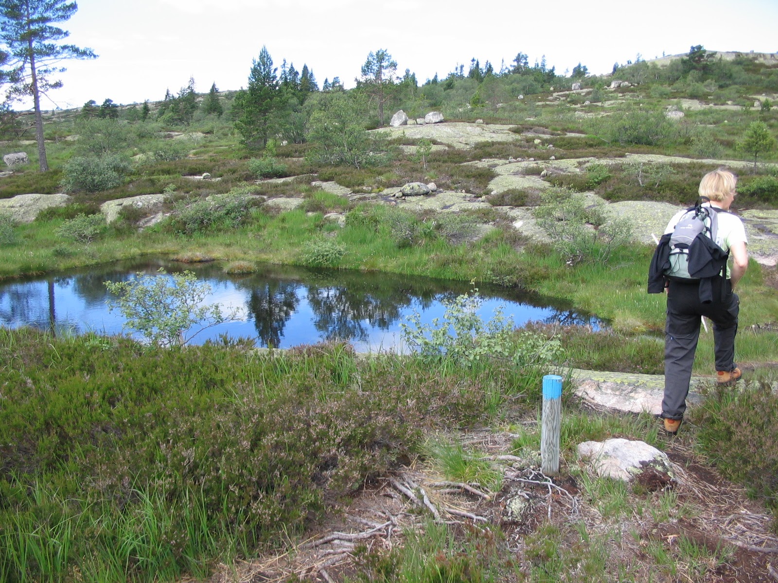 Norge juni 2007