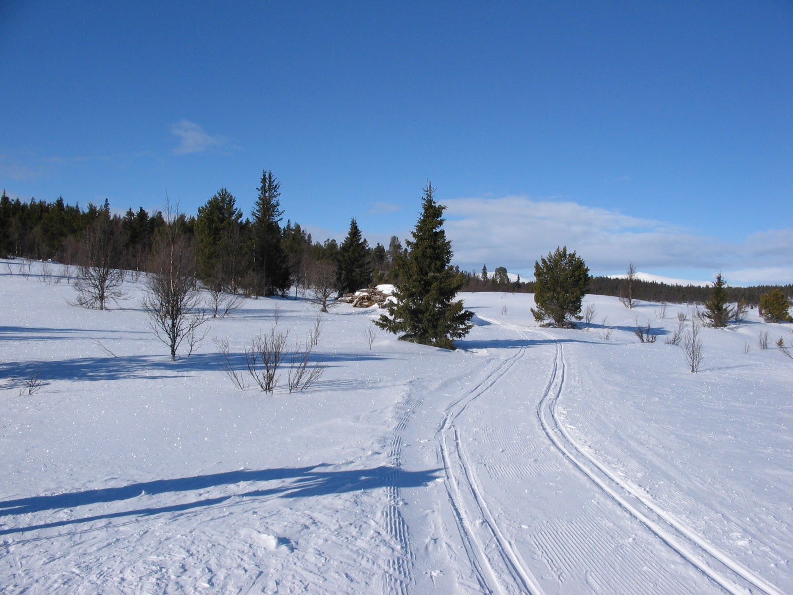 Fefor februar 2008